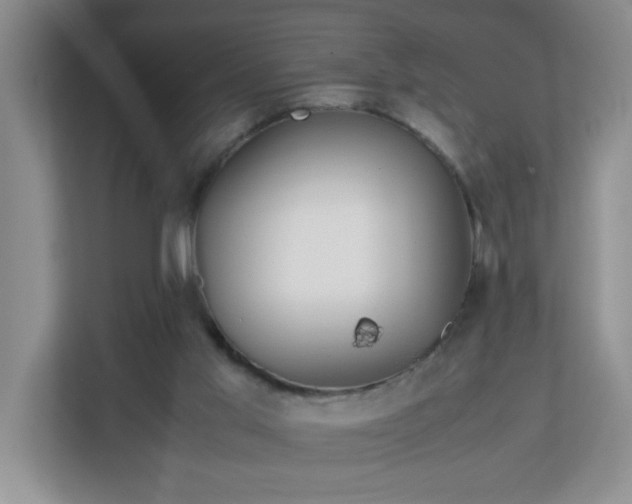X0000113040013200909031321