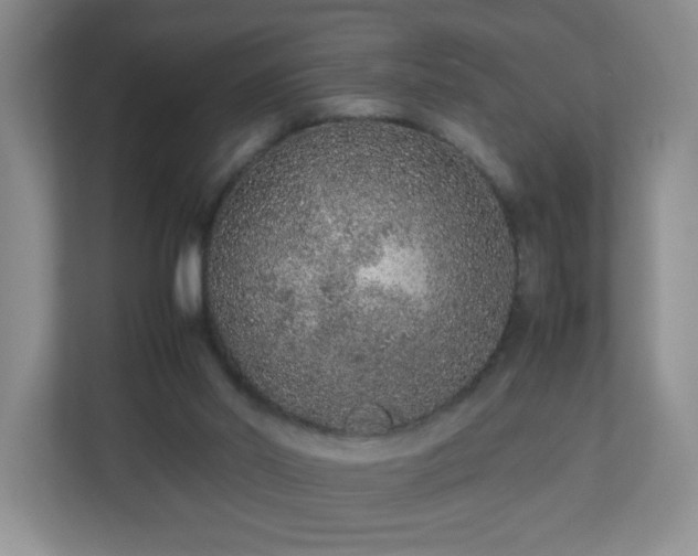 X0000113040014200909031321