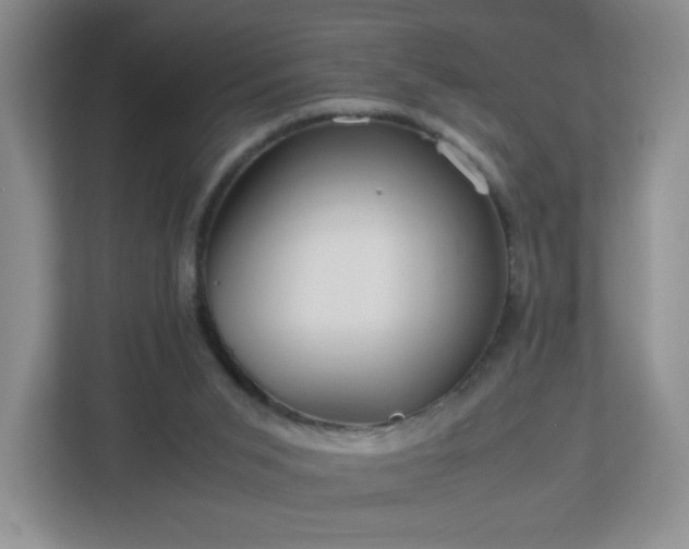 X0000113040015200909031321