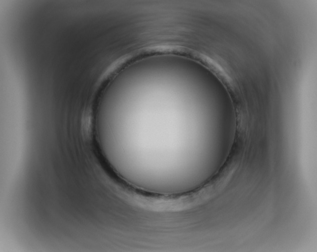 X0000113040016200909031321
