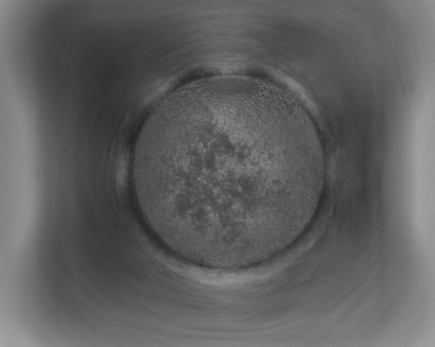 X0000113040018200909031321