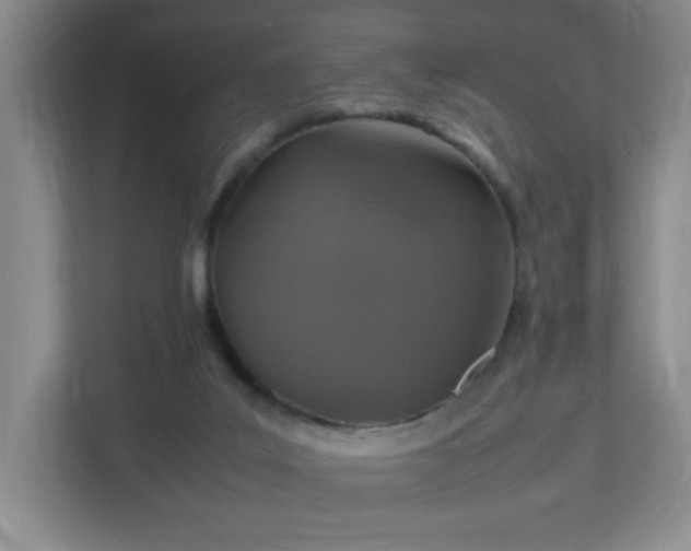 X0000113040019200909031321