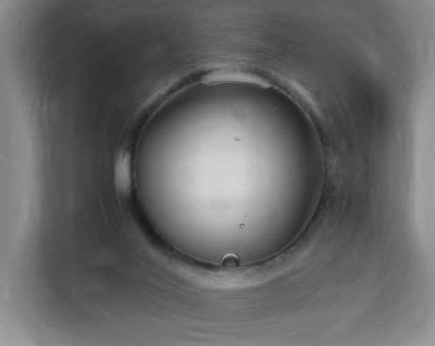 X0000113040020200909031321
