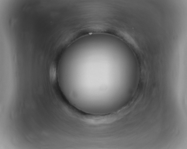 X0000113040021200909031321