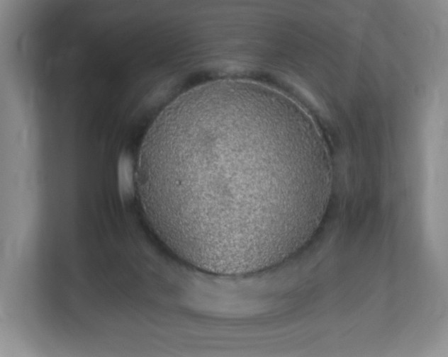 X0000113040022200909031321