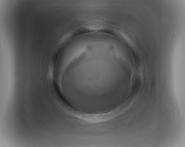 X0000113040023200909031321