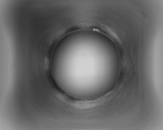 X0000113040025200909031321