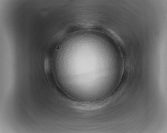 X0000113040026200909031321