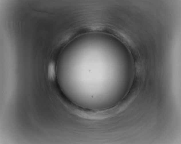 X0000113040028200909031321