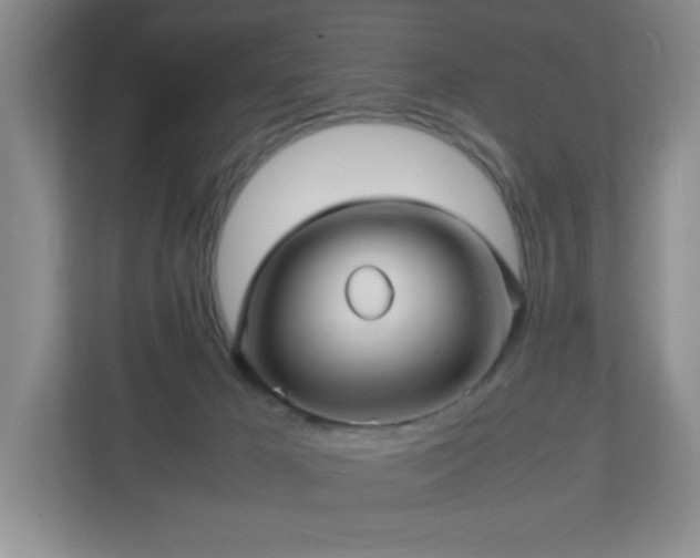 X0000113040029200909031321