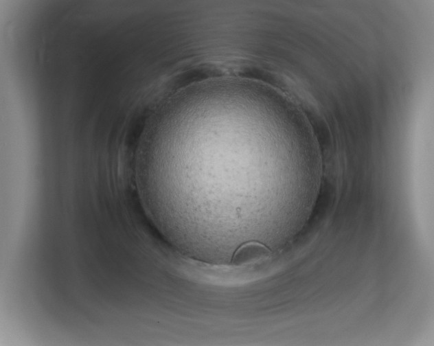X0000113040030200909031321