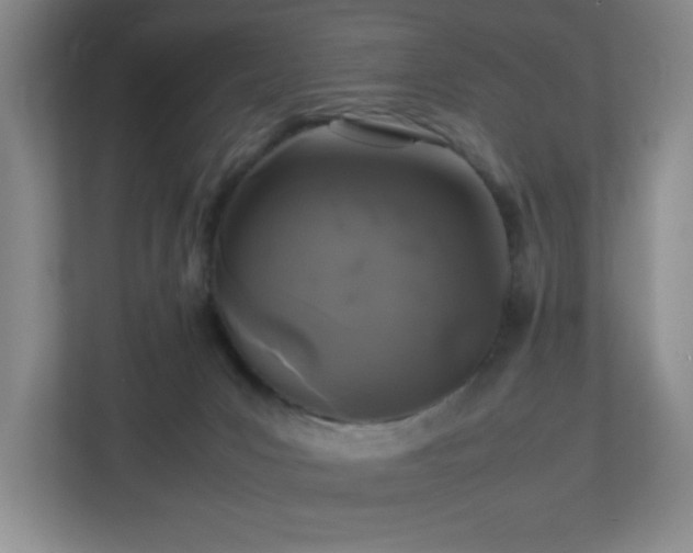X0000113040031200909031321