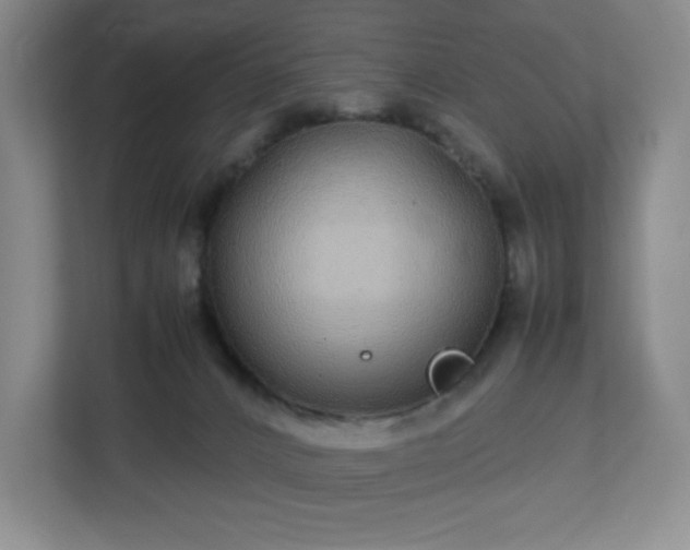 X0000113040032200909031321
