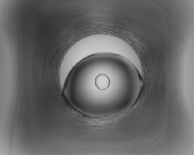 X0000113040033200909031321
