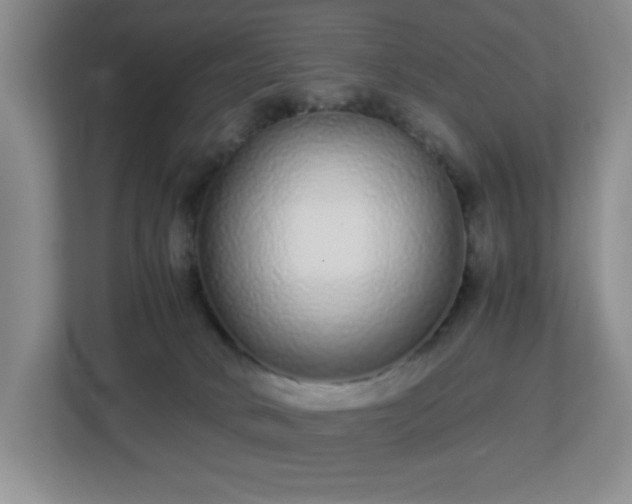 X0000113040034200909031321