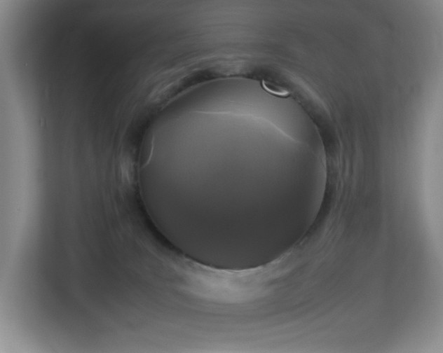 X0000113040035200909031321