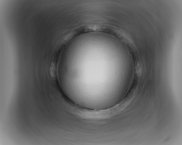 X0000113040036200909031321