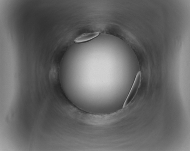X0000113040037200909031321
