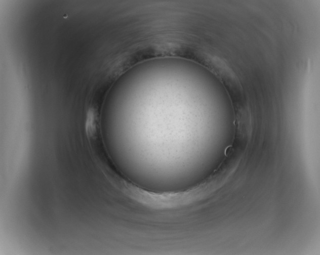 X0000113040038200909031321