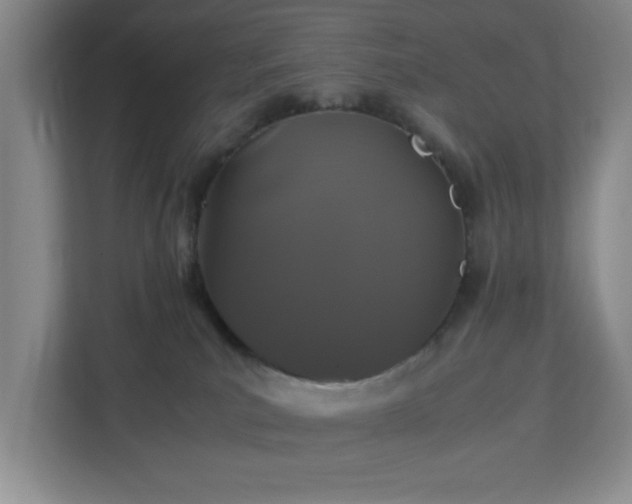X0000113040039200909031321