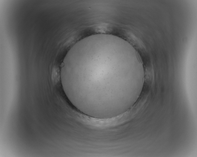 X0000113040043200909031320