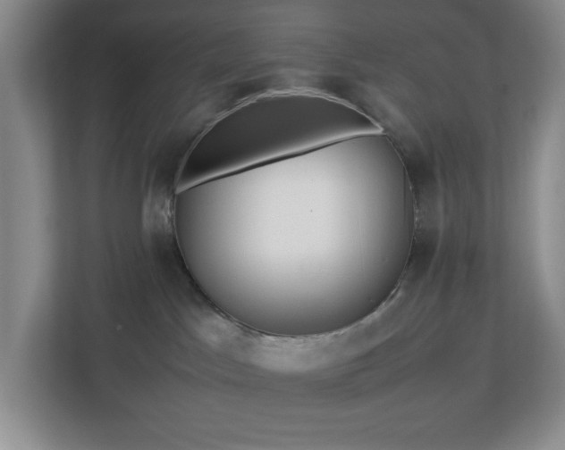 X0000113040045200909031320