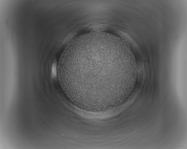 X0000113040046200909031320