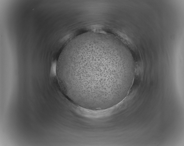 X0000113040047200909031320