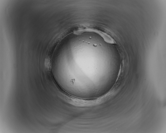 X0000113040048200909031320