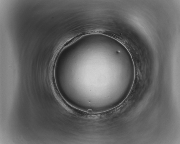 X0000113040049200909031320