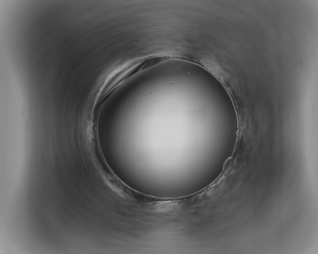 X0000113040050200909031320