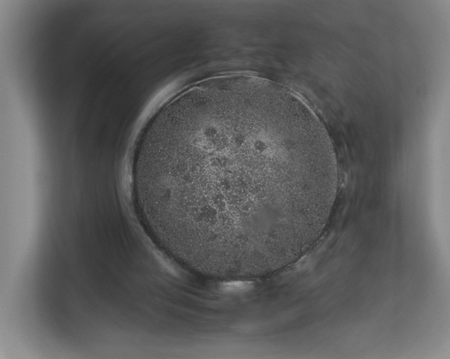 X0000113040053200909031320