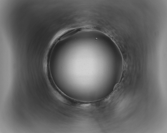 X0000113040054200909031320