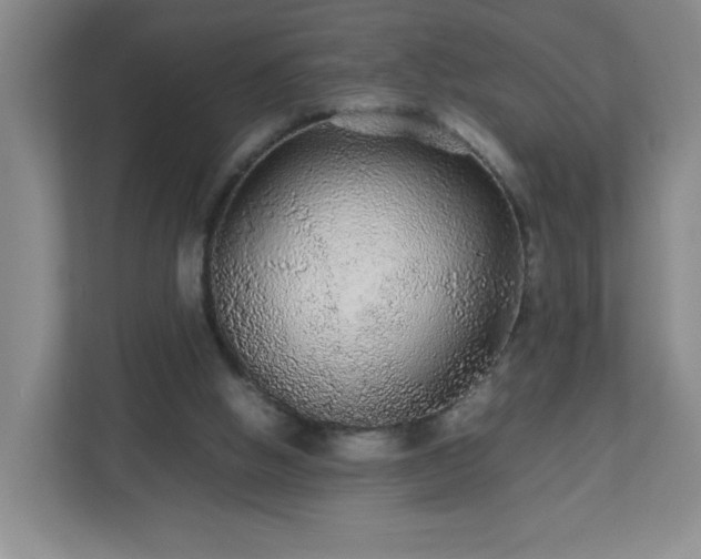 X0000113040058200909031320