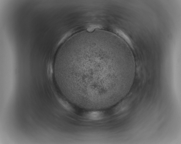 X0000113040059200909031320