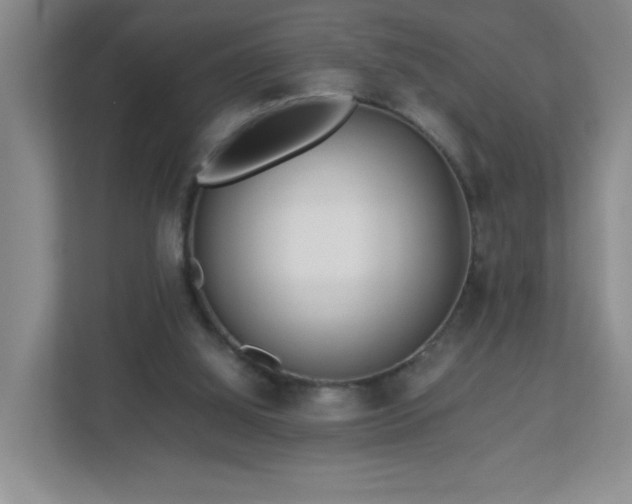 X0000113040060200909031320