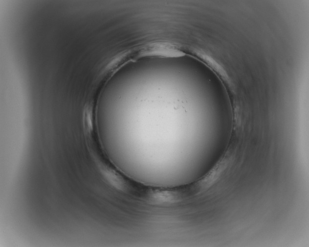 X0000113040062200909031320