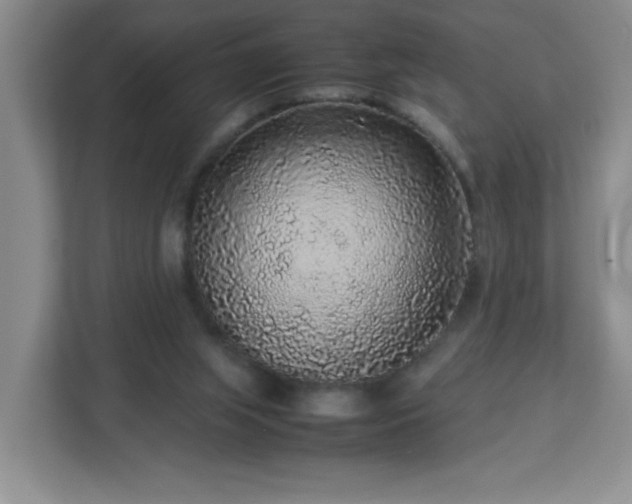 X0000113040063200909031320