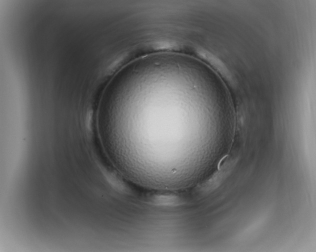 X0000113040066200909031320