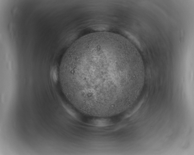 X0000113040069200909031320