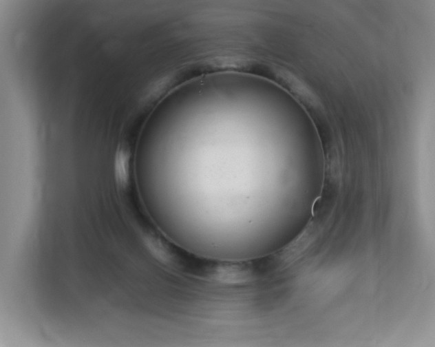 X0000113040070200909031320