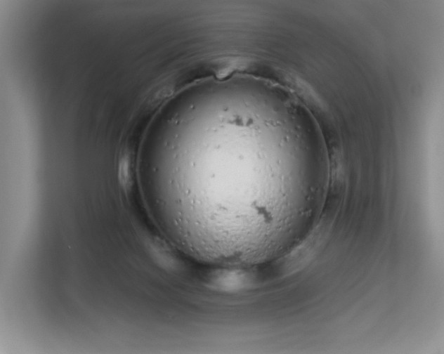 X0000113040074200909031320