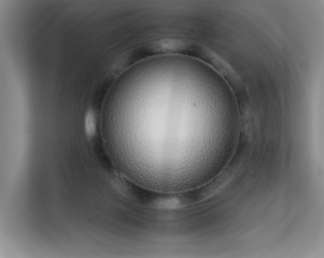 X0000113040075200909031320