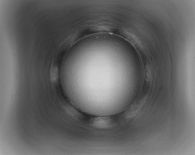 X0000113040077200909031320