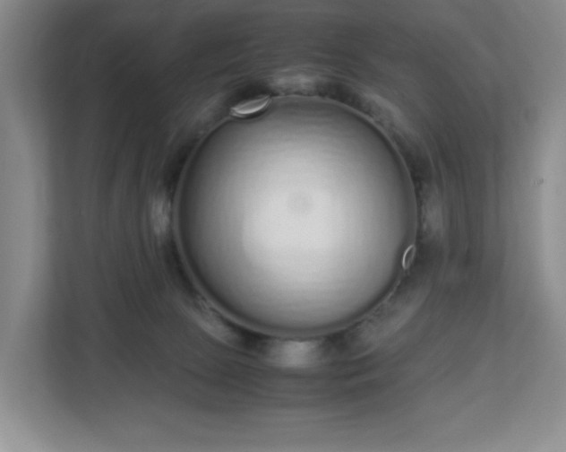 X0000113040081200909031320