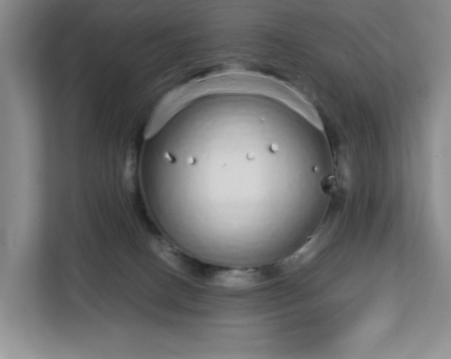 X0000113040082200909031320