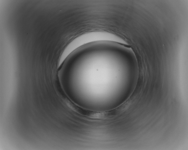X0000113040084200909031320