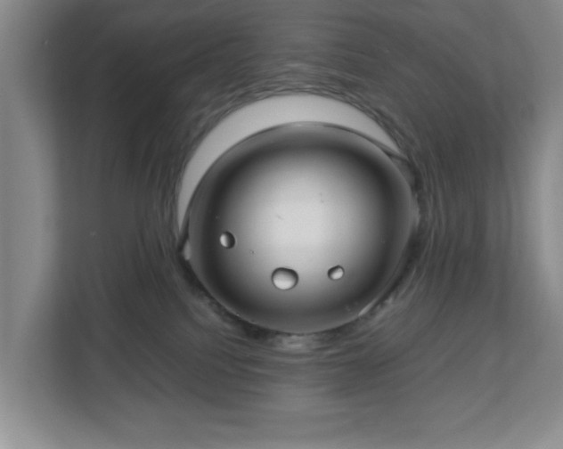 X0000113040088200909031320
