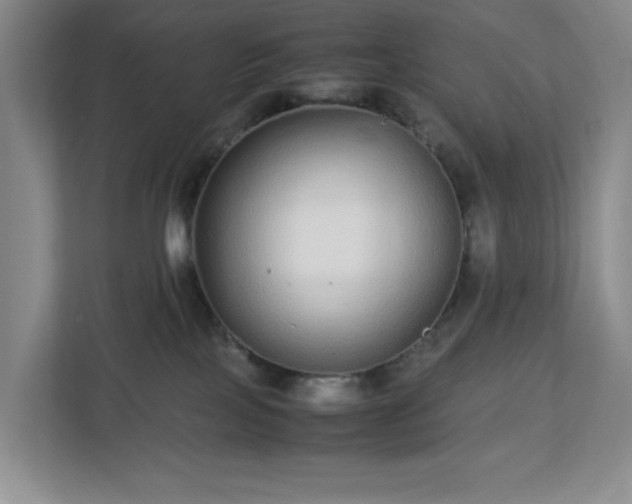 X0000113040089200909031320