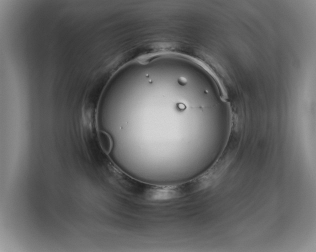 X0000113040093200909031320